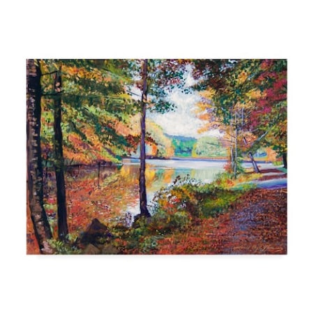 David Lloyd Glover 'A Quiet Autumn Stroll' Canvas Art,35x47